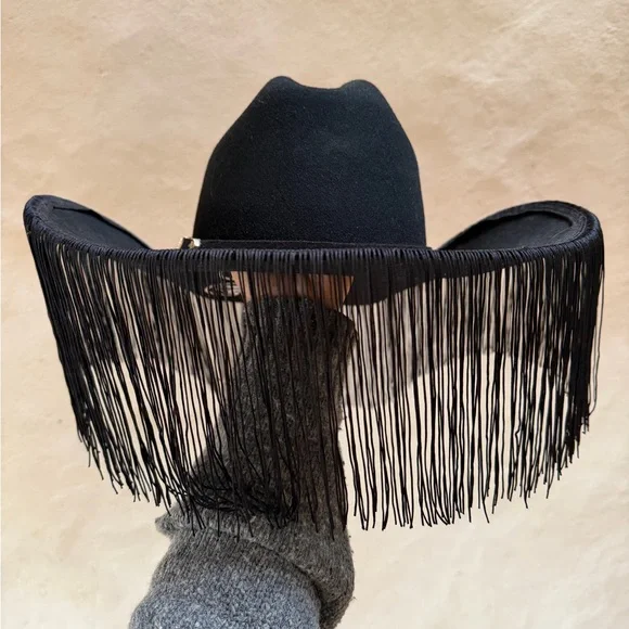 Wide Brim Customized Fun Fringe Snake Wool Stetson Hat size 7 1/4 - Picture 3 of 11